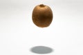 Floating kiwi fruit. Creative fruit concept Royalty Free Stock Photo