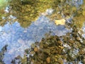 Floating leaf on pebble Creek stream water Royalty Free Stock Photo