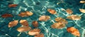 Floating Leaves in Water Pool Royalty Free Stock Photo