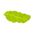 Floating lettuce leaf