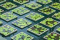 Floating lotus flower pot