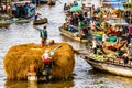 Floating market in Mekong River, Vietnam Royalty Free Stock Photo