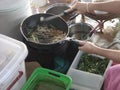 Floating Market in Thailand