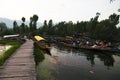 Floating market , Shreenagar, India