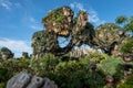 The floating  moutains in the Pandora area of Animal Kingdom at Disney World Royalty Free Stock Photo