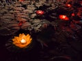 Floating paper lanterns on the water at night. Colorful Lotus candle design, Flowers candle floating on water