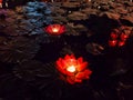 Floating paper lanterns on the water at night. Colorful Lotus candle design, Flowers candle floating on water