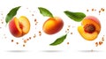 Floating peaches with leaves and juice droplets against a clean white backdrop Royalty Free Stock Photo