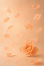 Floating petals ini pastel light, romantic background for love themed design Royalty Free Stock Photo