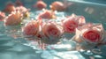 Floating pink roses in water with soft sunlight