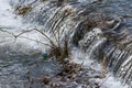 Floating plastic bottle in the clean small river,