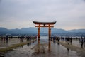 Floating red gate shrine in Miyjajima in Hiroshima prefecture, Japan