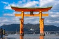 Floating red giant Grand O-Torii gate stands in Miyajima island bay beach