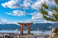 Floating red giant Grand O-Torii gate stands in Miyajima island bay beach