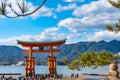 Floating red giant Grand O-Torii gate stands in Miyajima island bay beach