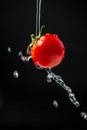 Floating ripe cherry tomatoes under runing water. Selective focus. Royalty Free Stock Photo