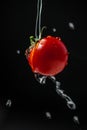 Floating ripe cherry tomatoes under runing water. Selective focus. Royalty Free Stock Photo