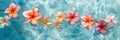 Floating Serenity: Frangipani Flowers on Transparent Ocean Waters Royalty Free Stock Photo