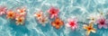 Floating Serenity: Frangipani Flowers on Transparent Ocean Waters Royalty Free Stock Photo