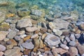 Floating small fish on a background of sea pebbles under water on beach