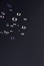Floating Soap Bubbles Over a Black Background Royalty Free Stock Photo