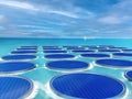 Floating solar panel farm - aerial view