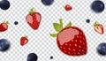 Floating Strawberries and blueberries template