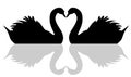 Floating swan love symbol
