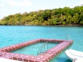 Floating swimming pool made by floating modular plastic blocks with ladder on the tropical blue sea near the speed boat and green.