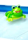 Floating Toy Frog In Child Pool