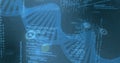 Floating translucent blue DNA helix rotating in cyberspace, with code lines and data vortices Royalty Free Stock Photo