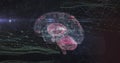 Floating translucent 3D brain model glowing in virtual network, with neon wireframe and data nodes Royalty Free Stock Photo
