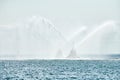 Tug boats spraying jets of water, demonstrating firefighting water cannons, fire boats spraying foam Royalty Free Stock Photo