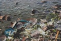 Floating flip-flop, foliage and dirty foam in the water on the beach. Concept of water pollution