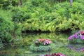 Floating Water garden