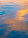 Floating White Feather at Sunset Royalty Free Stock Photo