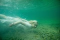 A floating woman. Underwater portrait. Girl in white dress swimming in the lake. Green marine plants, water