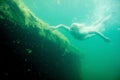 A floating woman. Underwater portrait. Girl in white dress swimming in the lake. Green marine plants, water Royalty Free Stock Photo