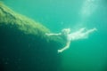 A floating woman. Underwater portrait. Girl in white dress swimming in the lake. Green marine plants, water Royalty Free Stock Photo