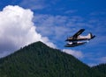 Floatplane near mountain Royalty Free Stock Photo