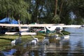 Floatplanes docked at shore