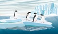 A flock of Adelie Penguin stands on a large ice floe. Penguins jump into the ocean