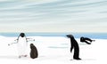 A flock of Adelie Penguin stands on the ocean shore. Birds of the South Poles