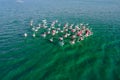 Flock of amazing flamingos resting on the surface turquoise lake. Drone shot top view.
