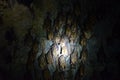 A flock of bats hanging on the ceiling of the cave. Sleeping bat