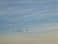 Iceland - A flock of birds forming a key formation Royalty Free Stock Photo