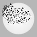 Flock of birds different sizes that fly south background of moon