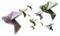 A flock of birds from Euro banknotes fly Royalty Free Stock Photo