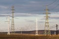 Flock of birds flight aroud electrical poles Royalty Free Stock Photo