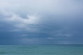 Flock of birds fling in Heavy clouds with stormy waves